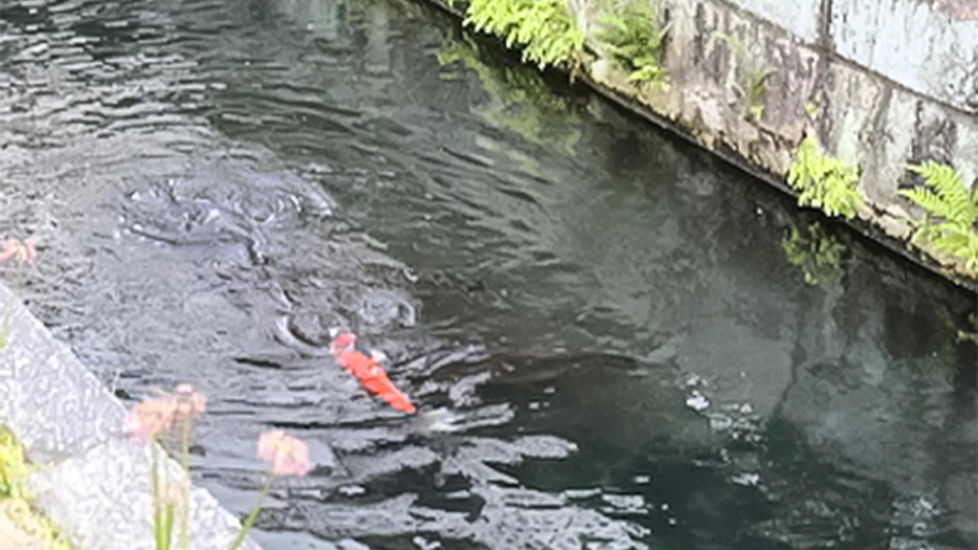 京町家お宿・花 Kioto Сasa de vacaciones